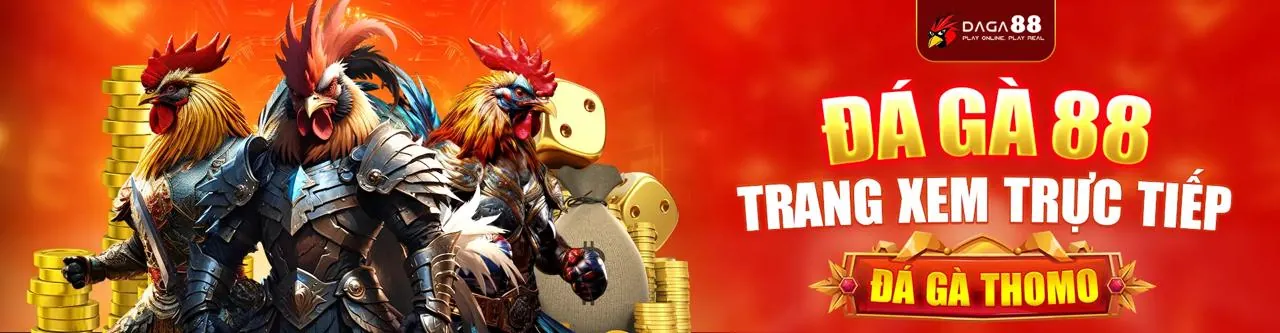 Đá gà trực tuyến trên BJ72